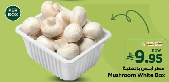فطر ابيض بالعلبه