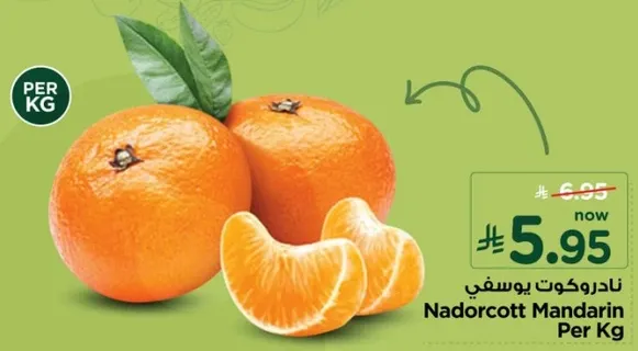 نادوركوت بوسيفي