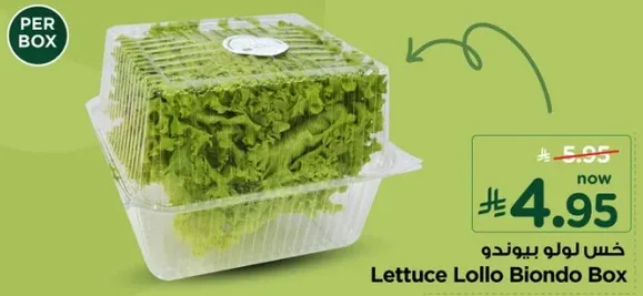 خس لولو بيوندو