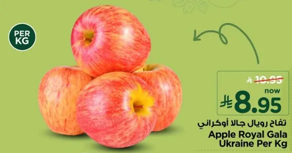 تفاح رويال جالا اوكراني