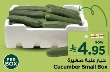 خيار علبه صغيره