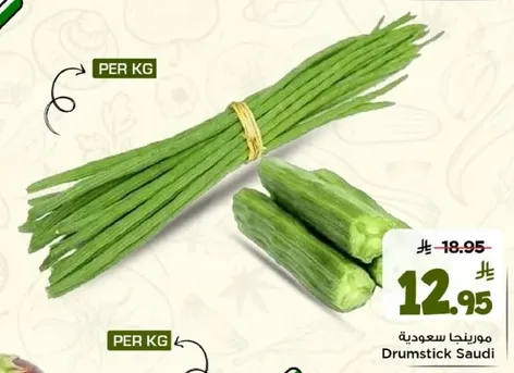 مورنغا سعوديه