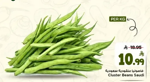فاصوليا عنقوديه سعوديه