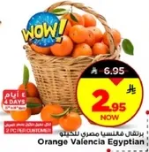برتقال فالنسيا مصري