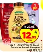 Garnier or Loreal Shampoo 600 ml