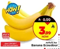 موز اكولودور