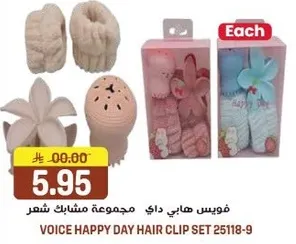 مجموعه هابي داي مشابك شعر