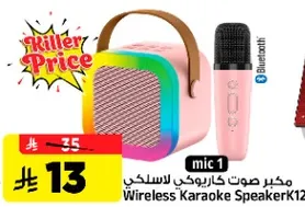 مكبر صوت كاريوكي لاسلكي