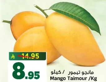مانجو تيمور / كيلوجرام
