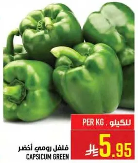 فلفل رومي اخضر