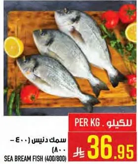 سمك دنيس (400-800)