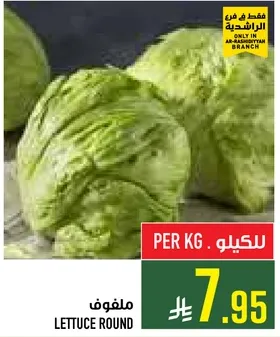Round lettuce