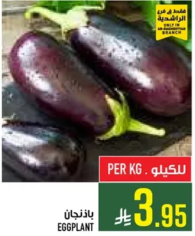 باذنجان