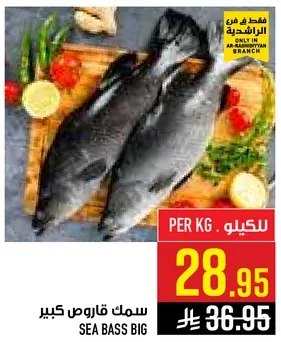 سمك قاروص كبير