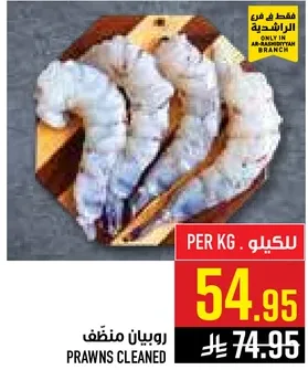 روبيان منظم