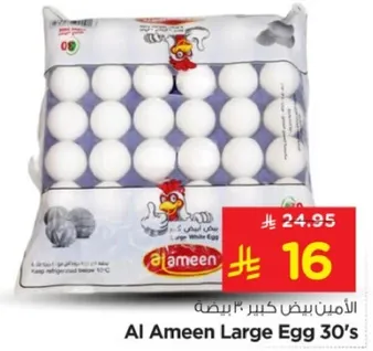 الامين بيض كبير 30 حبه