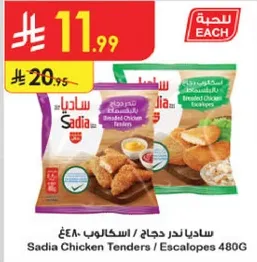 ساديان ندر دجاج