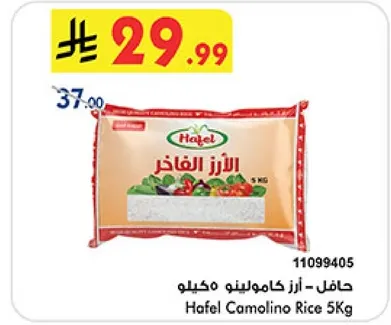 حافل - ارز كامولينو مكيلا