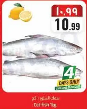 سمك السلور 1 كجم