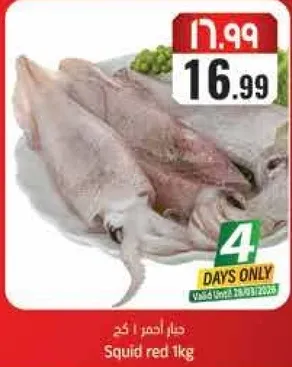 حبار احمر 1 كجم