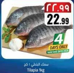 سمك البلطي 1 كغ