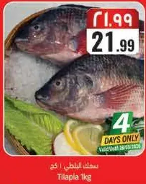 سمك البلطي 1 كجم