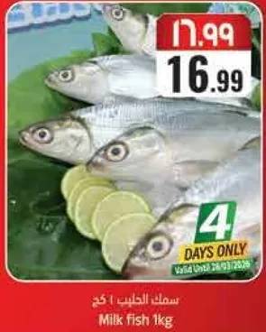 سمك الحلبت 1 كغ