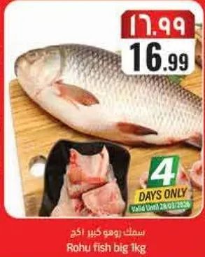 سمك روهي كبير 1 كجم