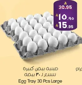 صينيه بيض كبيره تسع 30 بيضه