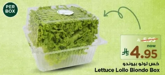 خس لولو بوندوا