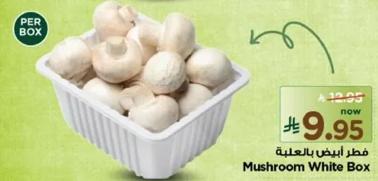 فطر ابيض بالعلبه.