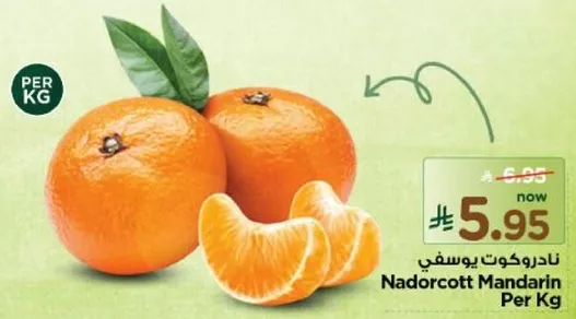 Nadorcott Mandarin Per Kg