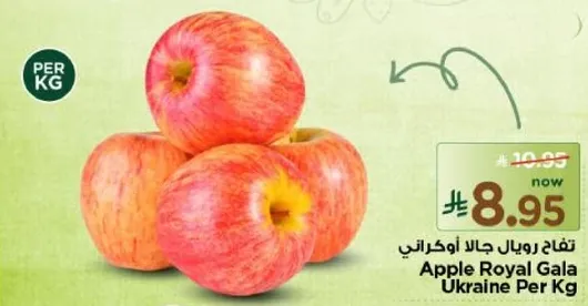 Apple Royal Gala Ukraine Per Kg
