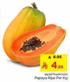 بابايا ناضجه بالكيلو