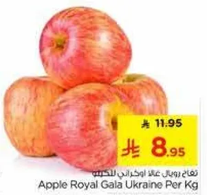 تفاح رويال جالا اوكراني بالكيلو