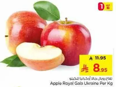 تفاح رويال جالا اوكرانيا للكغ