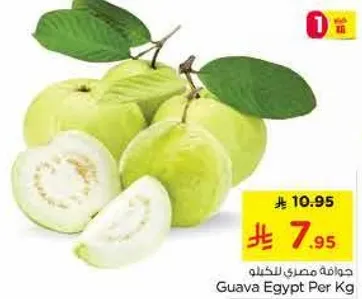 جوافه مصري للخكيلو