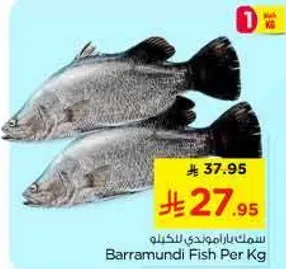 سمك باراموندي للكغم
