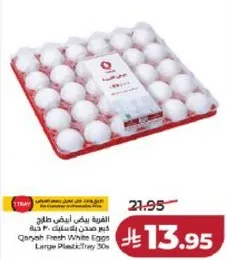 بيض قنيه الابيض كبير حجم 30