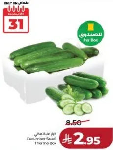 خيار علبه ثيرمو