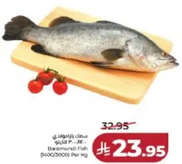 سمك باراموندي (1400/3000) لكل كجم