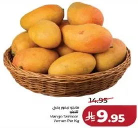 مانجو تيمور يمني لكل كيلو