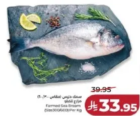 سمك دنيس اسباني (300-400 جرام) مزرعه ناتجه