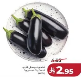 باذنجان كبير حجم النداء