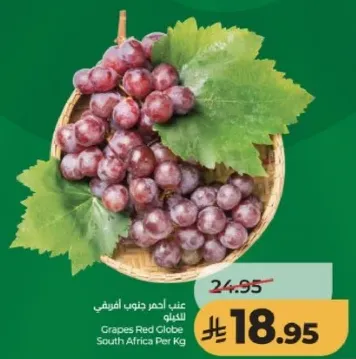 عنب احمر جنتو افريقي