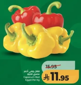 فلفل رومي احمر مصري بالكيلو