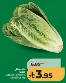 Lettuce Romaine Saudi Per Kg