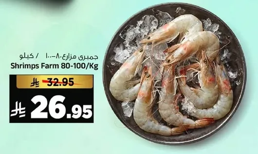 جمبري مزارع 80-100/كغ