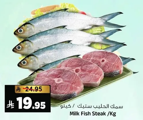 سمك الحليب ستيك / كيلو