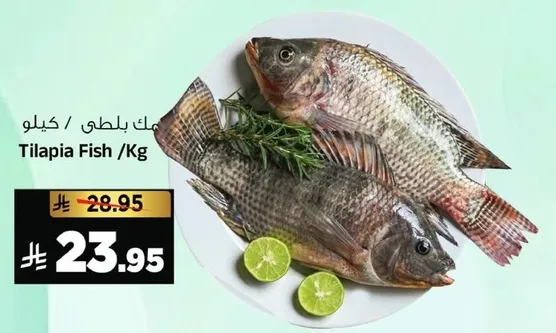 سمك بلطي /كجم